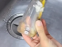 、ふぴ（fupi_zubora_kurashi）さんのInstagramの投稿