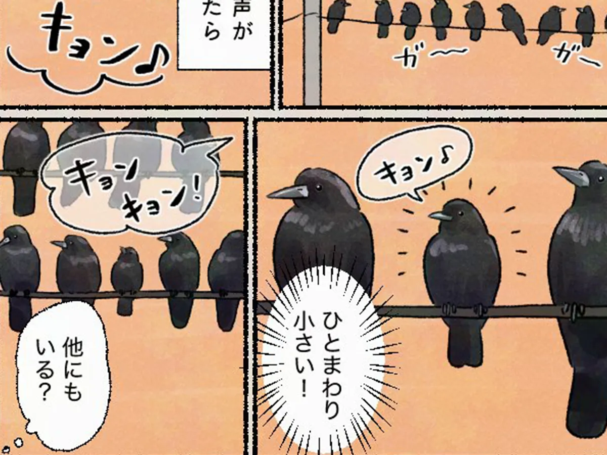 𝚙𝚒𝚛𝚘 𝚙𝚒𝚛𝚘 𝚙𝚒𝚌𝚌𝚘𝚕𝚘さんの漫画の画像