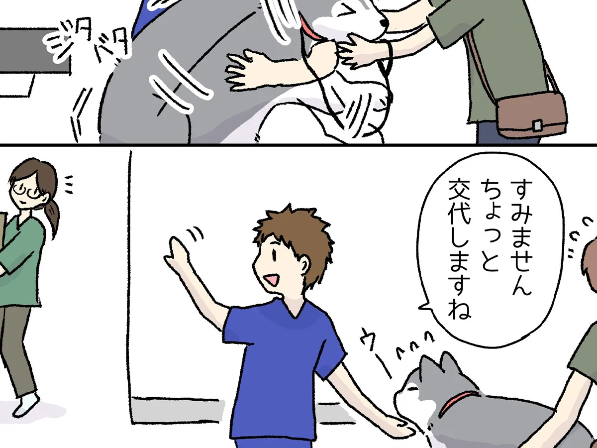 元動物看護師が、動物病院のスタッフを前にした際の犬の反応を描いた漫画の写真