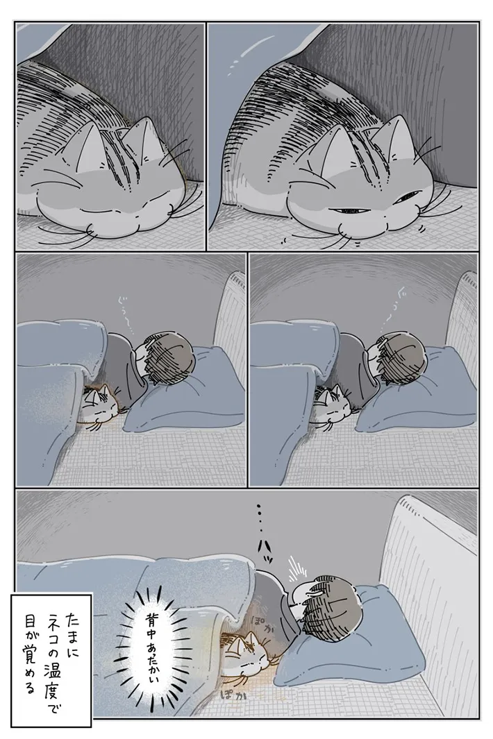 キュルZさんの漫画の画像