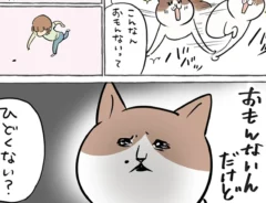 愛猫との日常を描いたエッセイ漫画の写真