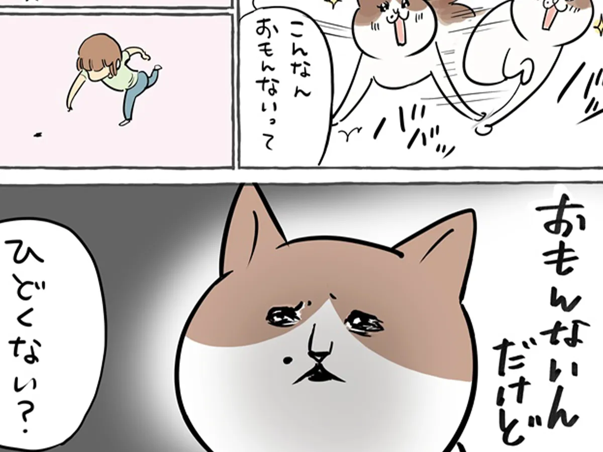 愛猫との日常を描いたエッセイ漫画の写真