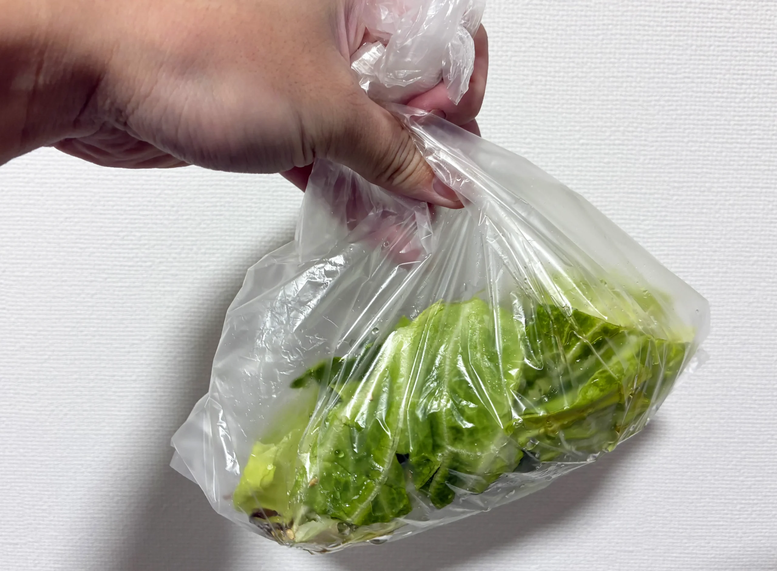 キャベツや塩昆布などが入ったアイラップの写真（撮影：grape編集部）