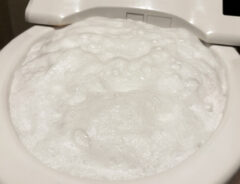 「面倒なトイレ掃除がめっちゃ楽！」　モコモコ泡で頑固汚れを落とす『アース製薬』の商品がこちら