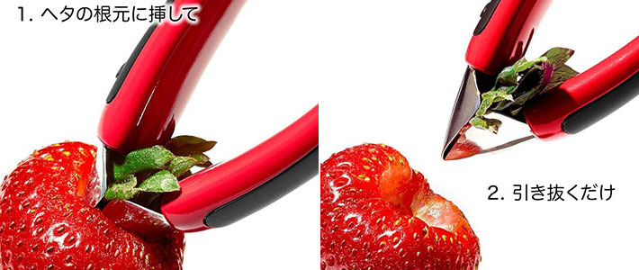 オクソーの画像