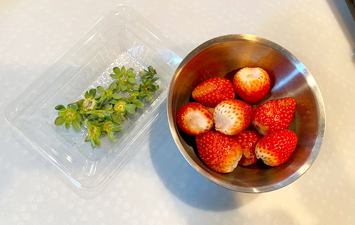 オクソーの画像