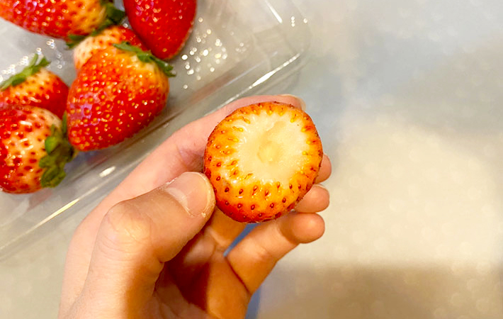 オクソーの画像