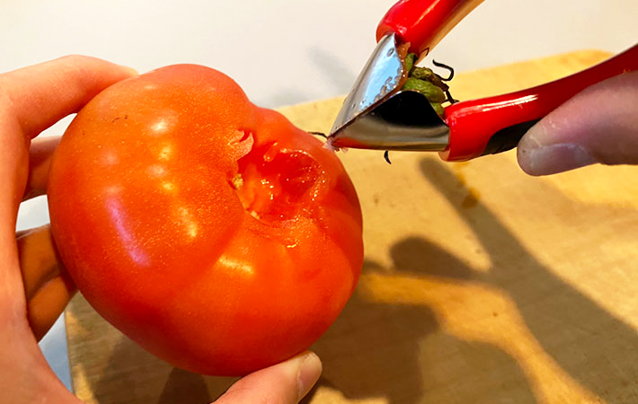 オクソーの画像