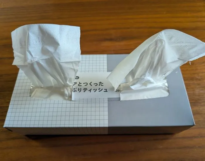 取り出し口が2つあるボックスティッシュ（撮影：grapeライフハック編集部）