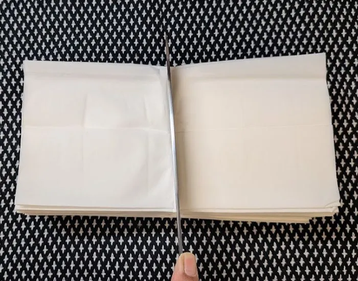 半分にカットしたティッシュ（撮影：grapeライフハック編集部）