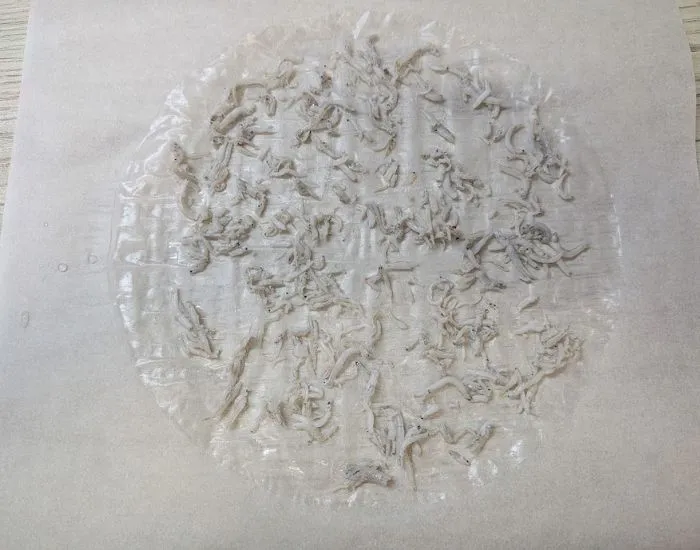 しらすがのったライスペーパー（撮影：grapeフード編集部）