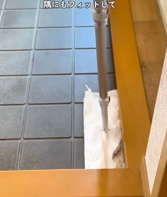 玄関の角を掃除している様子