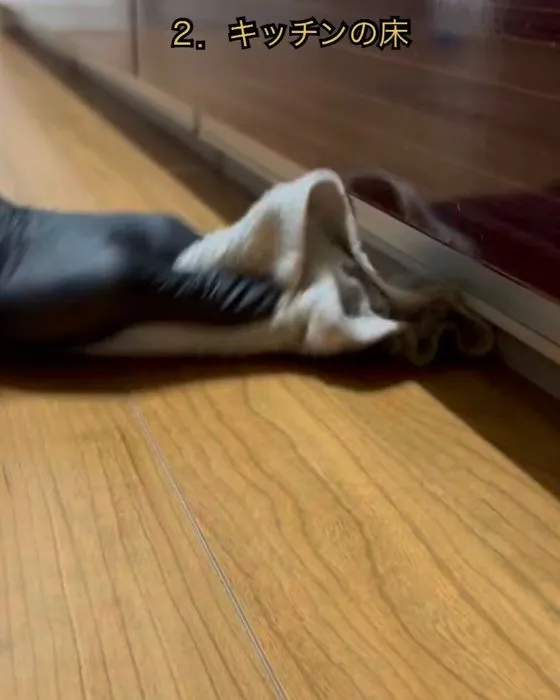 キッチン床を拭く様子