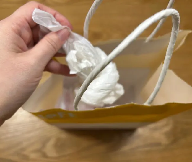 紙袋にレジ袋を入れている様子（撮影：grapeライフハック編集部）
