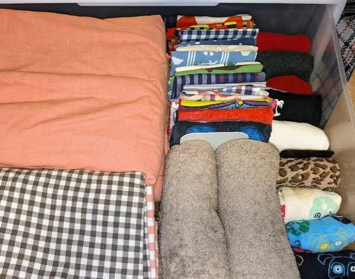 衣類の立てる収納に活用した様子（撮影：grapeライフハック編集部）