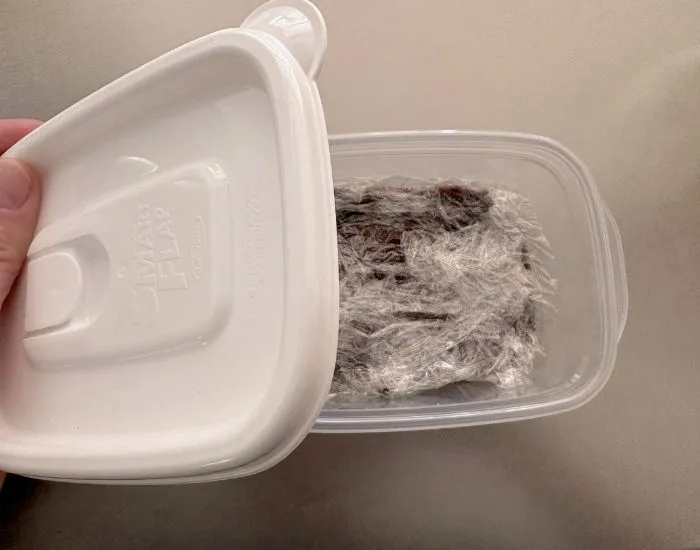 冷蔵する（撮影：grapeフード編集部）