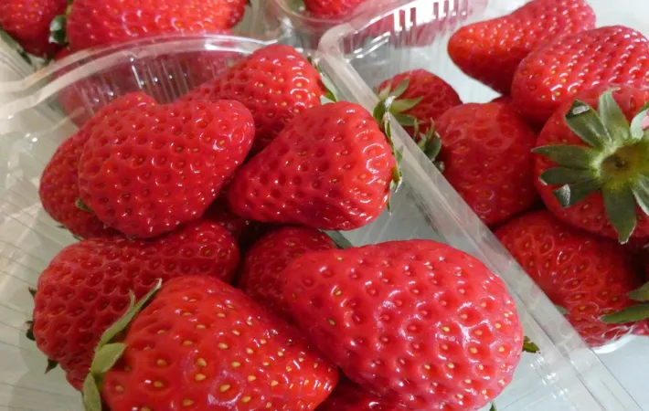パックに入ったイチゴ