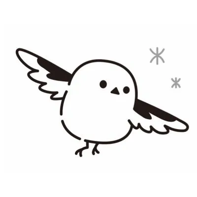 北のキャメラの写真