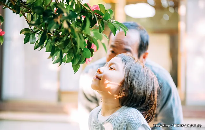 山茶花と椿の違い：香りの有無