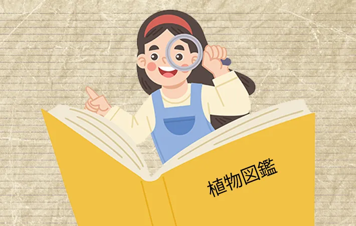 植物としての分類の違い