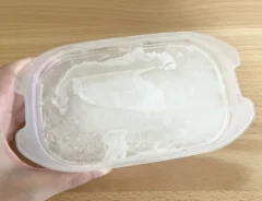 凍らせたしらたきの写真（撮影：grapeフード編集部）