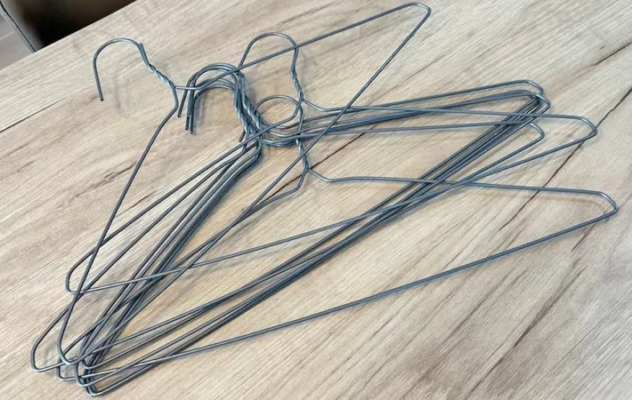 『針金ハンガー』の写真（撮影：キジカク）
