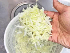 『千切りキャベツ』の写真（撮影：キジカク）