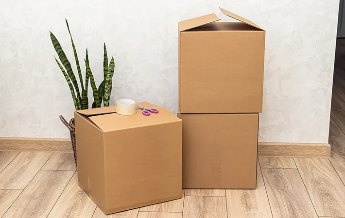 ダンボールの写真