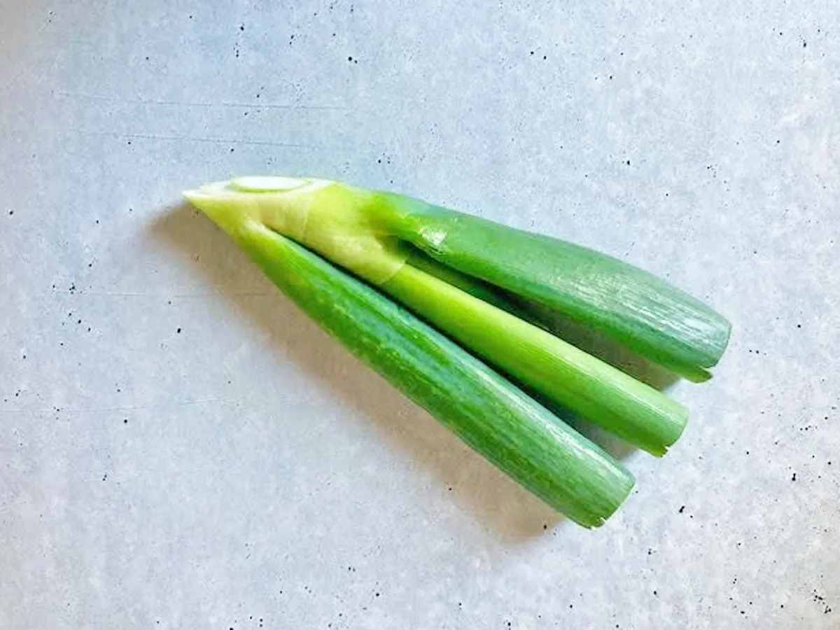 『長ネギの青い部分』の写真（撮影：エニママ）