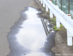 水たまりの写真