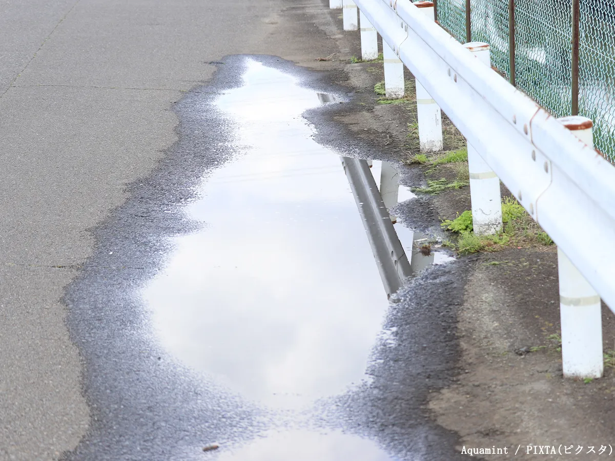 水たまりの写真