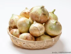 タマネギの写真