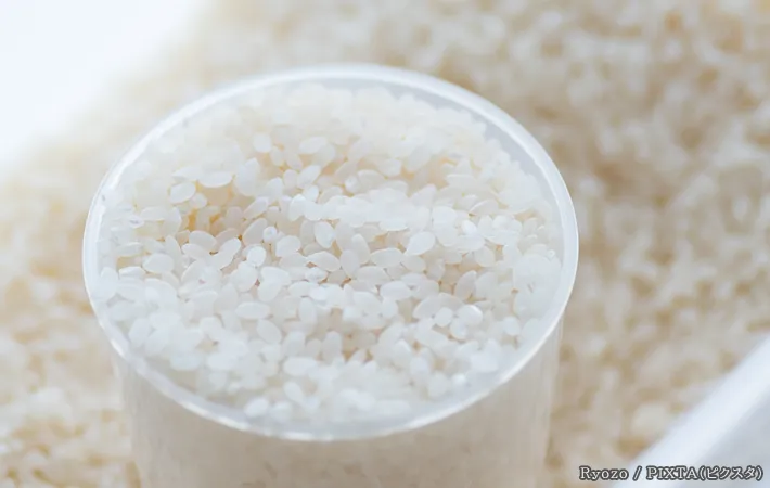 お米の写真