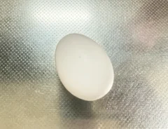 ゆで卵の写真(撮影:grapeフード編集部)