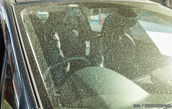 汚れた車の写真