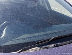 汚れた車の写真