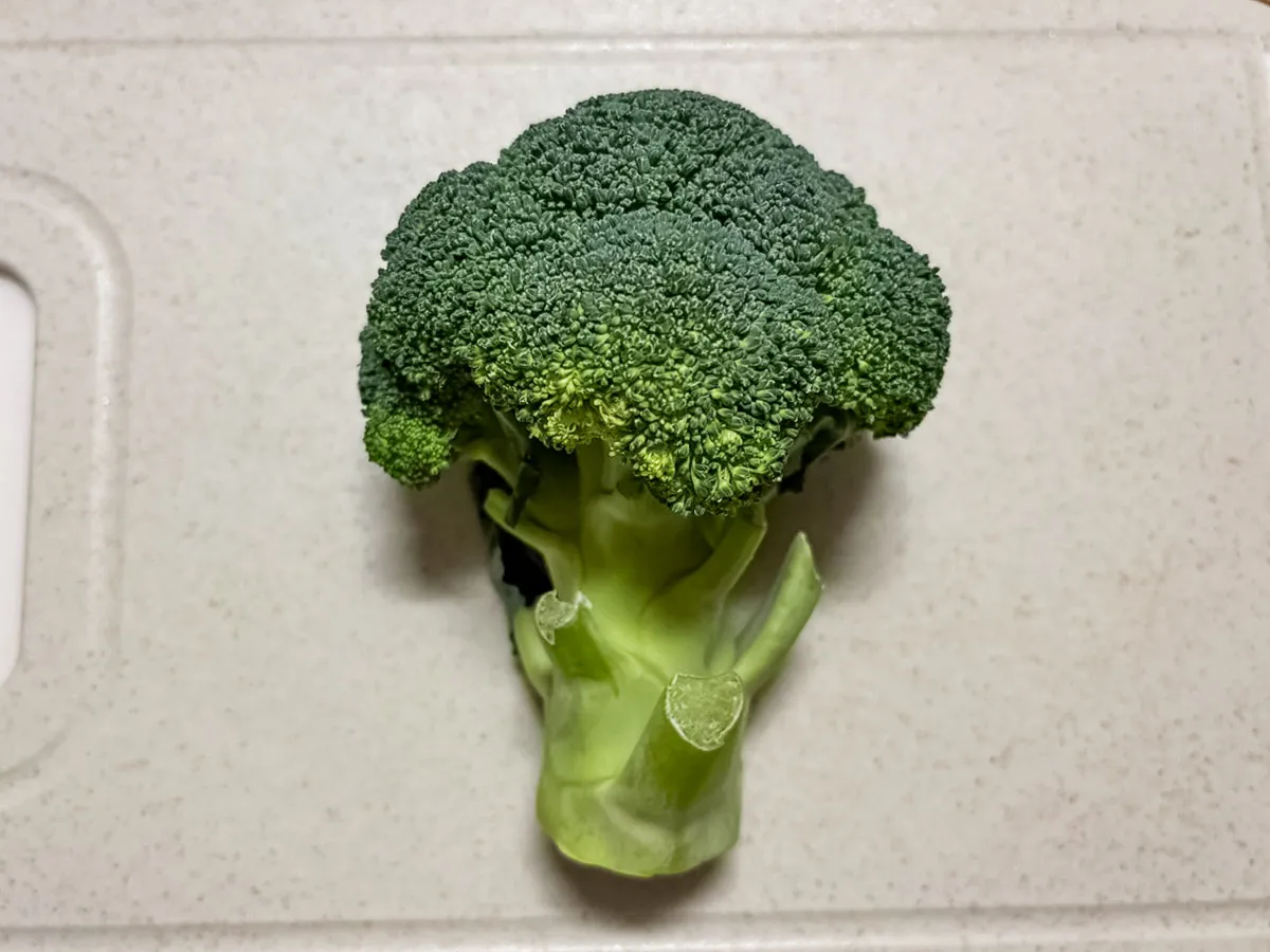 ブロッコリーの写真（撮影：grapeフード編集部）