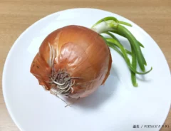 芽が出たタマネギの写真