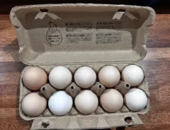 卵パックの写真(撮影:エニママ)