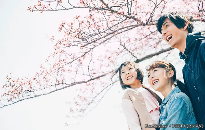 お花見をする家族の写真