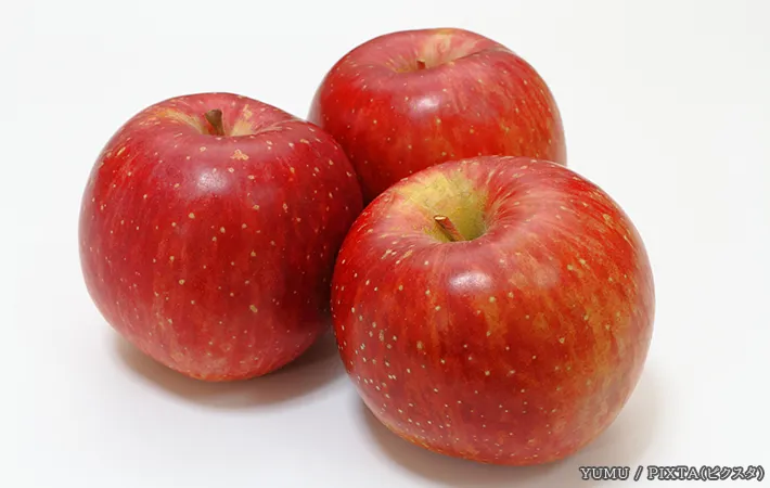 リンゴの写真