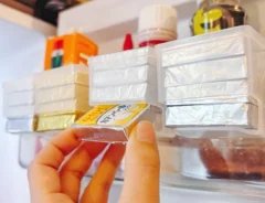 『ベビーチーズストッカー』の使用写真（撮影：キジカク）