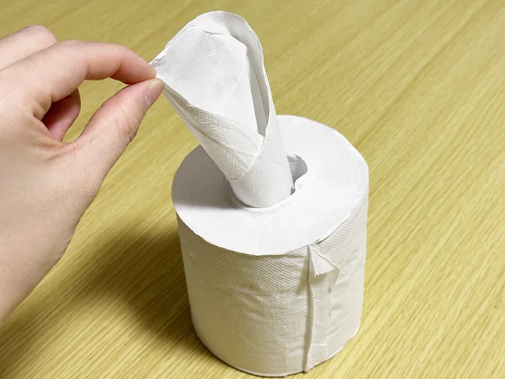 トイレットペーパーの内側からスルスルとペーパーを引き出している画像（撮影：grapeライフハック編集部）
