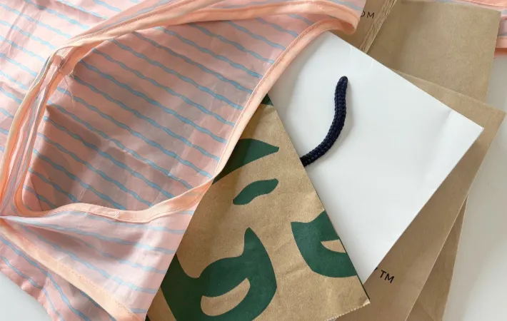 エコバッグに収納した紙袋（撮影：エニママ）