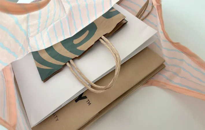 エコバッグに収納した紙袋（撮影：エニママ）