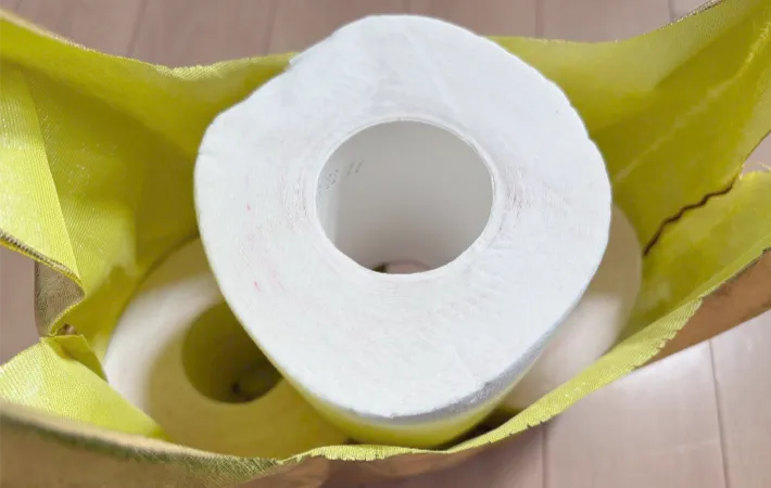 エコバッグにトイレットペーパーを収納した画像（撮影：エニママ）
