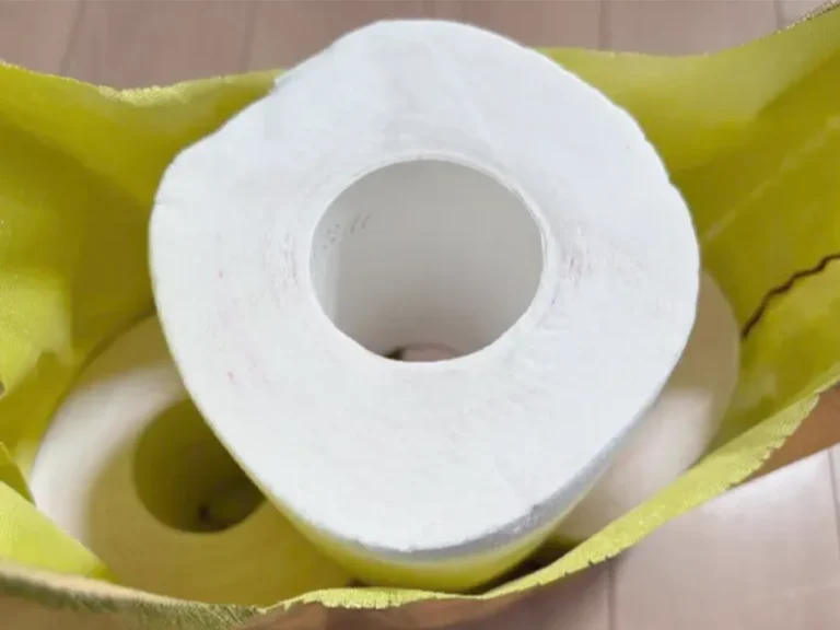 トイレットペーパーの写真（撮影：エニママ）