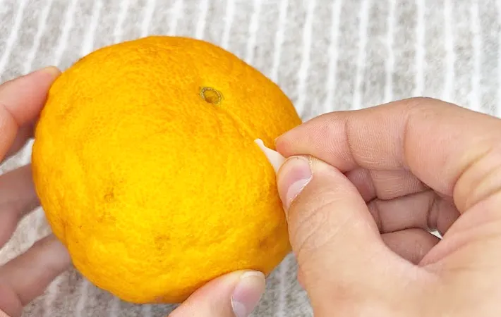 『食パンのバッククロージャーで皮剥きする』写真（撮影：キジカク）