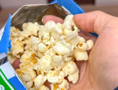 ポップコーンの写真（撮影：キジカク）