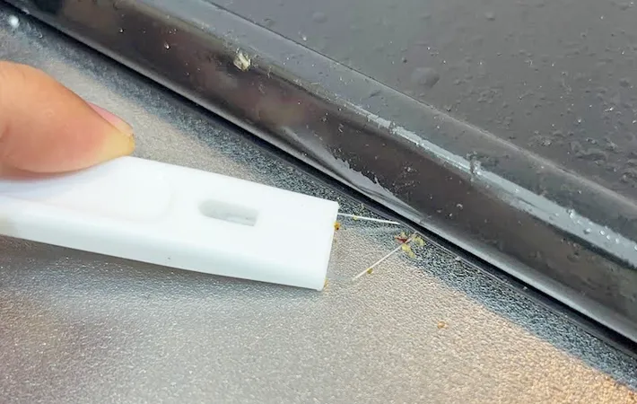 『ダイソー しなる隙間ヘラ』の使用写真（撮影：キジカク）